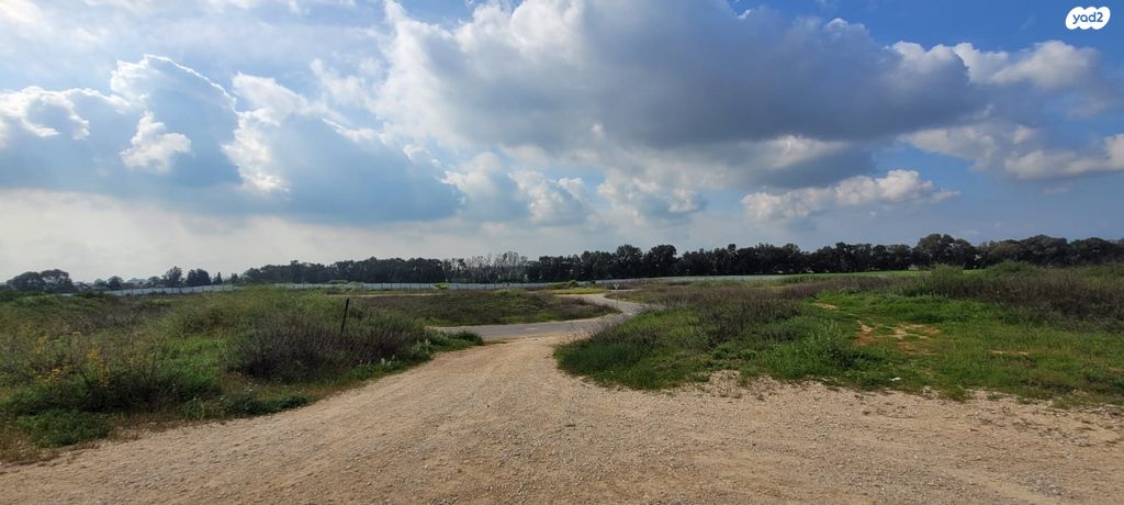 מגרשים, הפלמ"ח, קדימה צורן