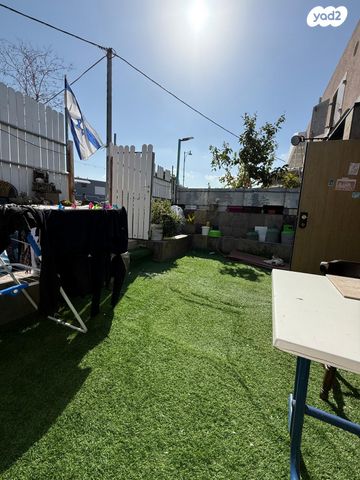 כלניות 