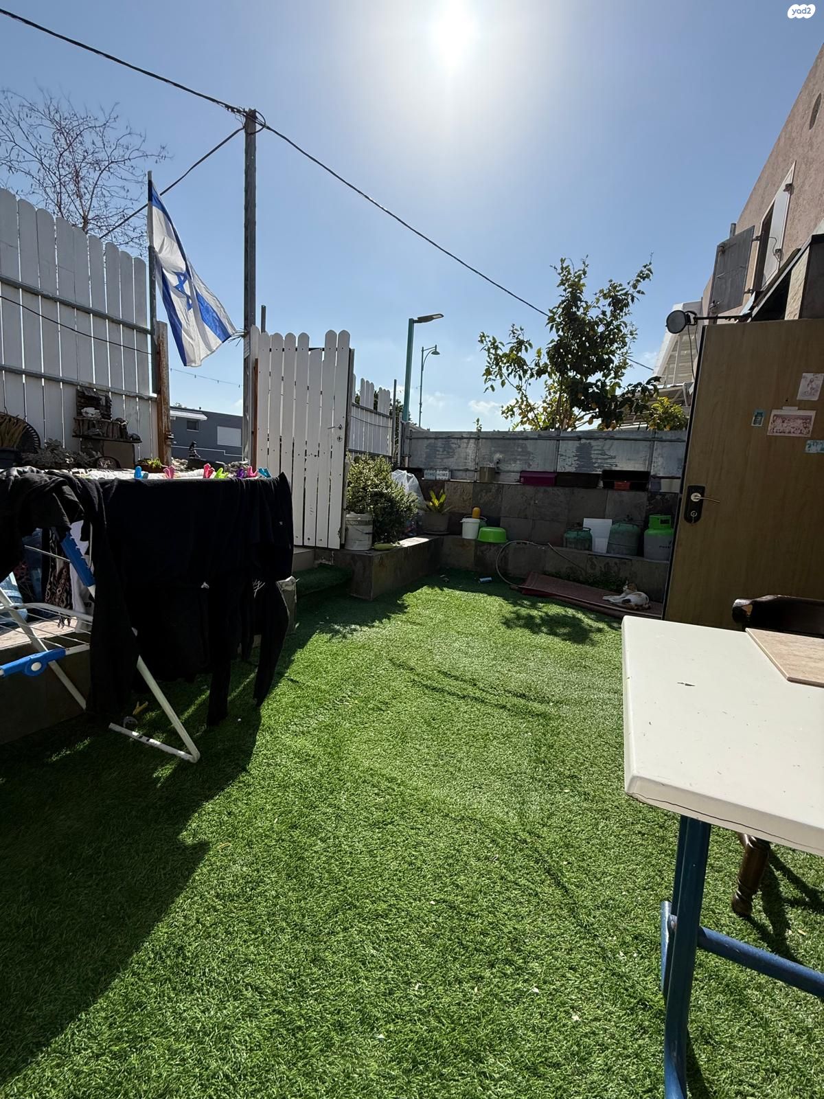כלניות 