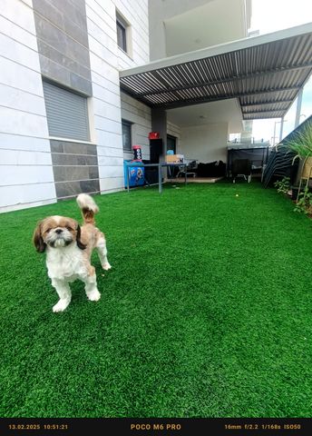 דירת גן, אריאל שרון 4, נווה שרון / שער העיר, נתיבות