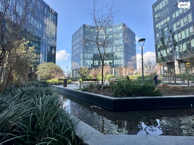 דרך הנפת הדגל 