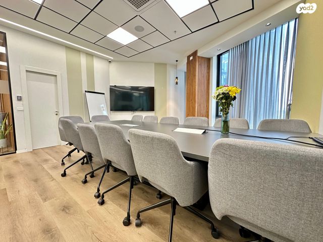 משרדים, דרך הנפת הדגל, נס ציונה