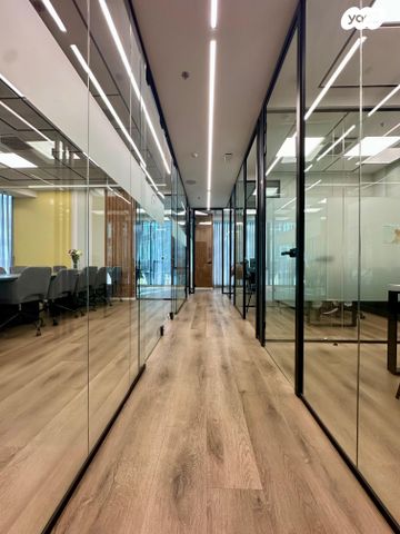 משרדים, דרך הנפת הדגל, נס ציונה