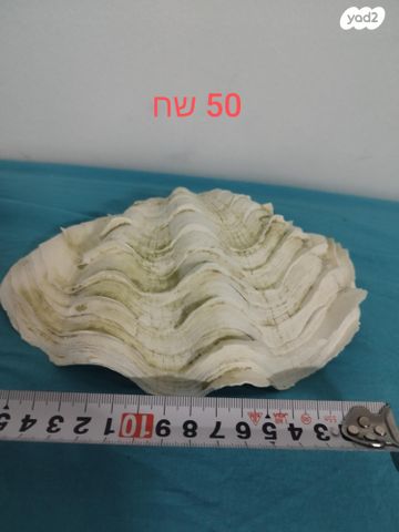 אביזרים | דקורציה לאקווריום