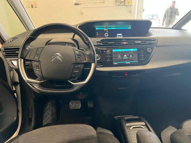 סיטרואן C4 פיקאסו