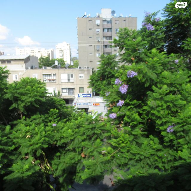 דירה, ש"י עגנון 5, צור שלום, קרית ביאליק