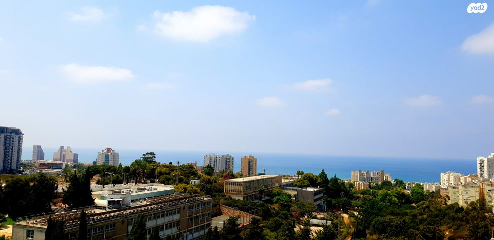 דוד בר רב האי 40