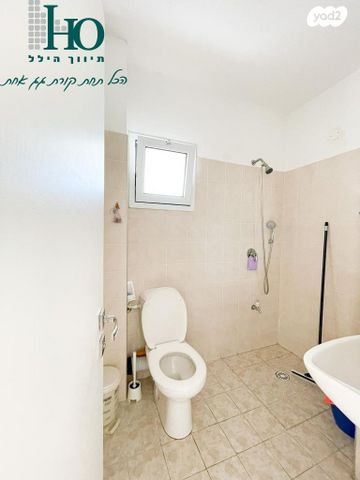 דופלקס, שילה, הסיטי, אשקלון