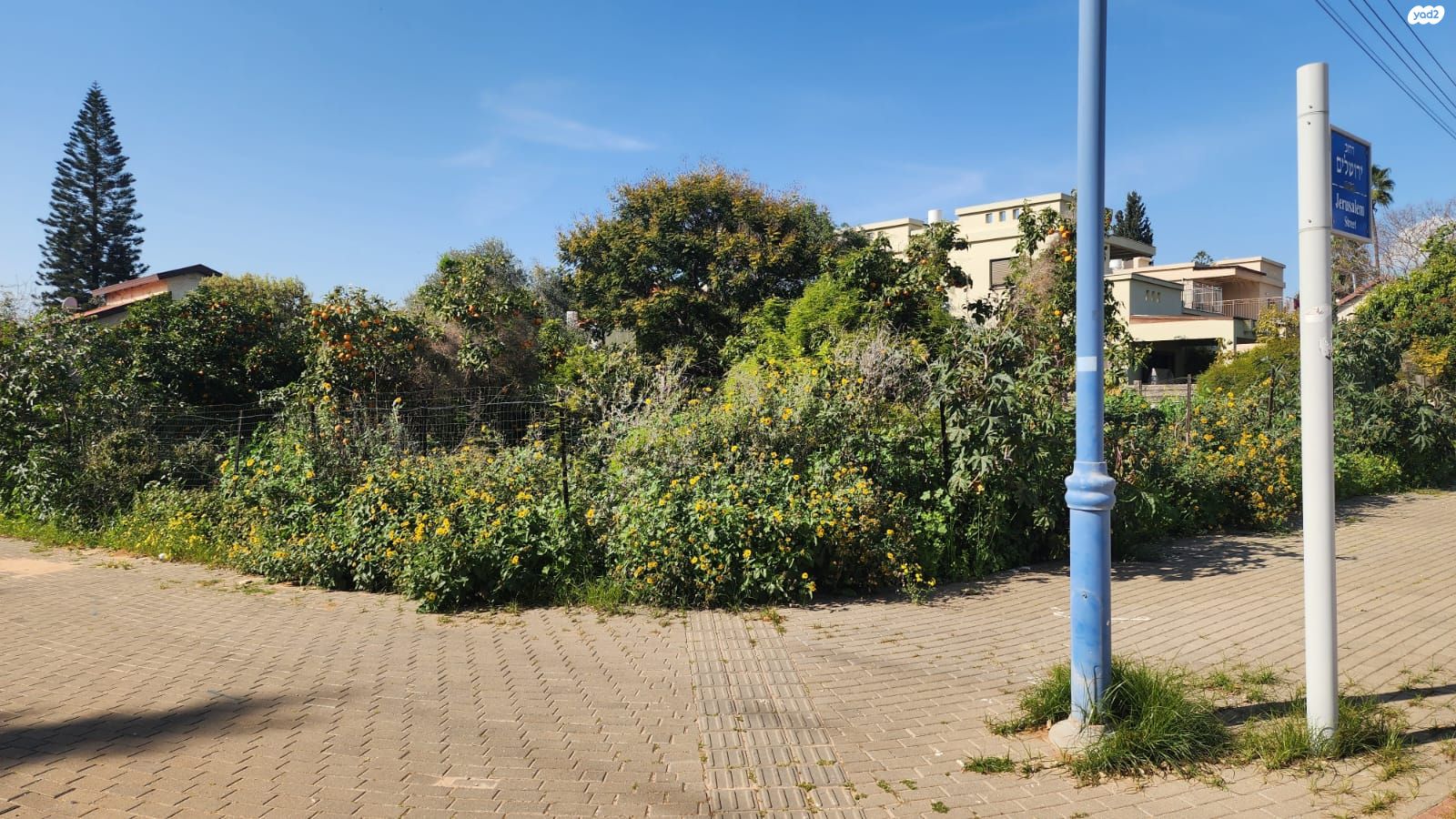 אחוזה 