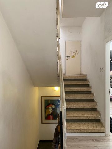 טריפלקס, דוגית, דרום מערב ותיק, בת ים