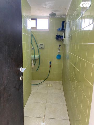 טריפלקס, דוגית, דרום מערב ותיק, בת ים