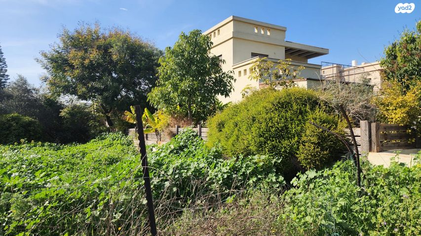 מגרשים, אחוזה, פרדס חנה כרכור