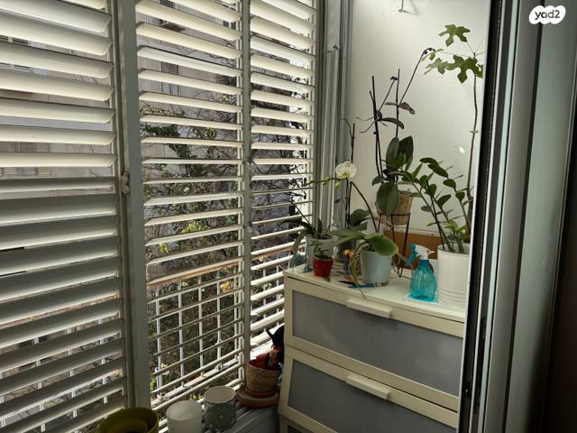 דירה, ארלוזורוב, הצפון החדש - דרום, תל אביב יפו