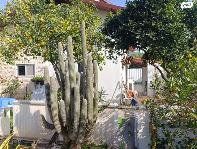 מגרשים, שד"ל, גאולים, כפר סבא