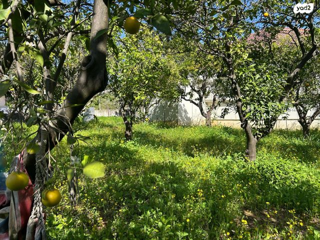 בית פרטי/ קוטג', מרכז פרדס חנה, פרדס חנה כרכור