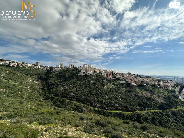 דירה, יוסף שכטר, אחוזה, חיפה