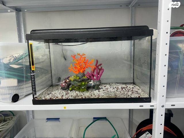 תמונת מודעה - חיות מחמד