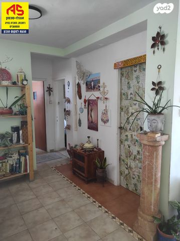 דירה, שאר העיר, מזכרת בתיה