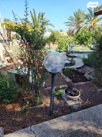 דו משפחתי, הורדים, פוריה נווה עובד