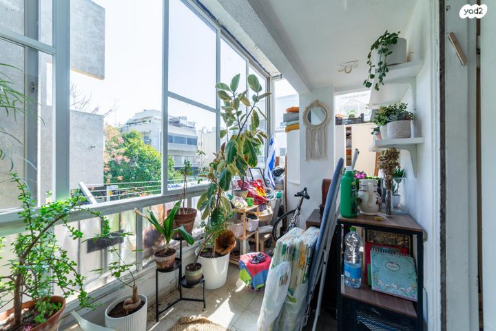 דירה, מגידו, הצפון הישן - דרום, תל אביב יפו