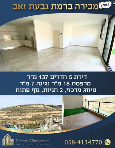 הכינור 