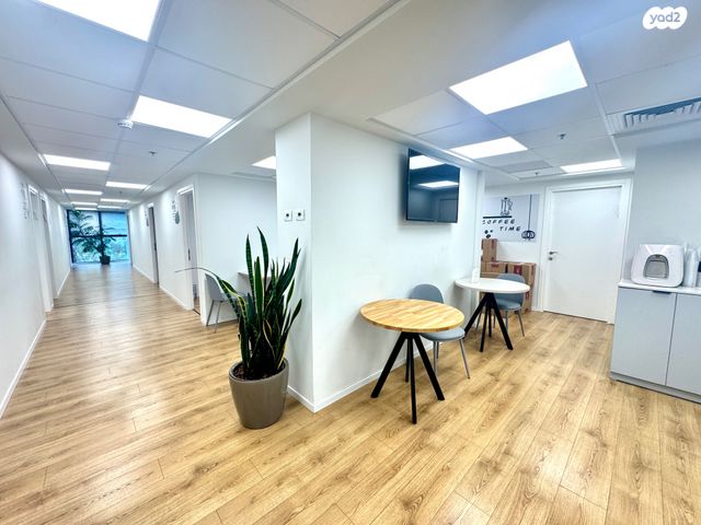 מדינת היהודים 