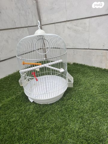 תמונת מודעה - חיות מחמד