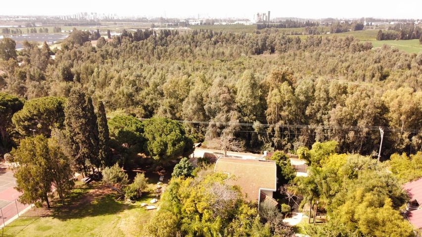 בית פרטי/ קוטג', תלמי אלעזר