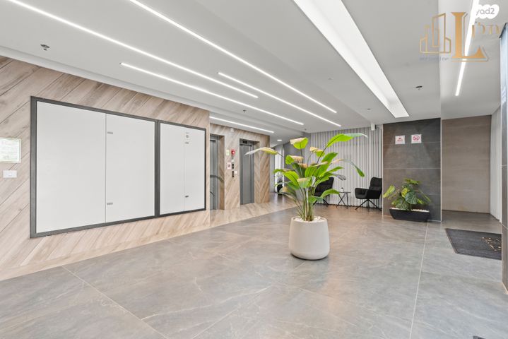 דירה, רחובות הצעירה, רחובות