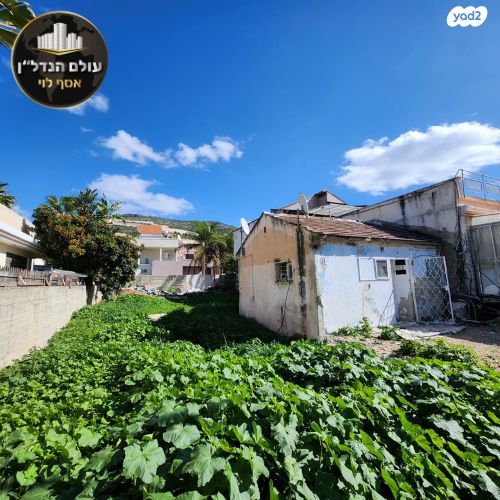 בית פרטי/ קוטג', מלחמת ששת הימים, נווה אליאס, טירת כרמל