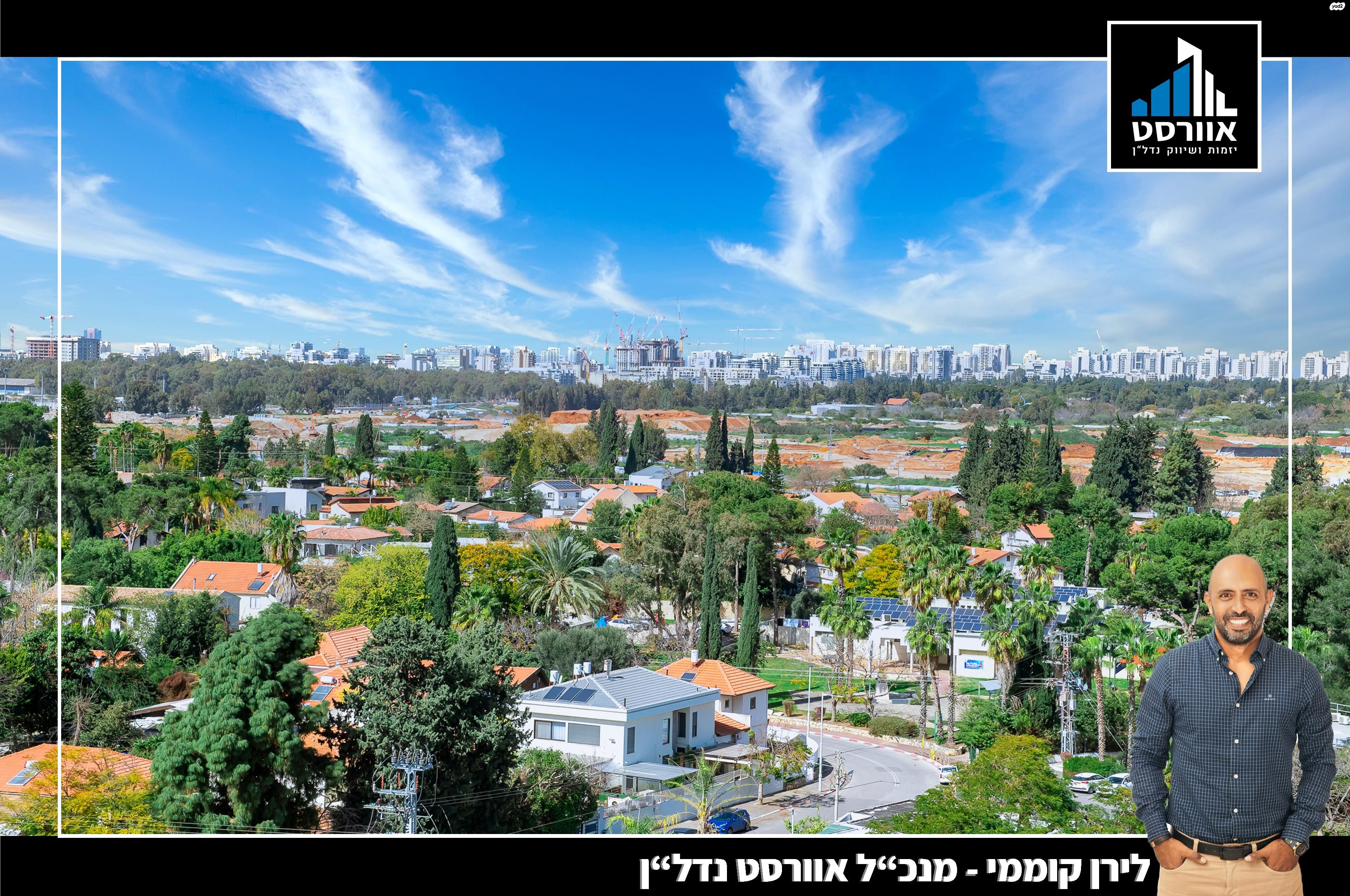 תמר 