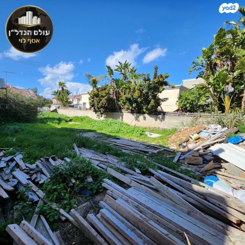 בית פרטי/ קוטג', מלחמת ששת הימים, נווה אליאס, טירת כרמל