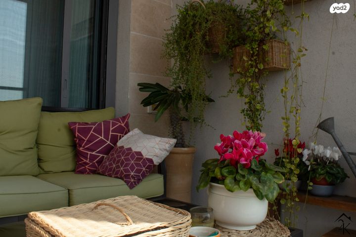 דירה, רמת צבי, זכרון יעקב