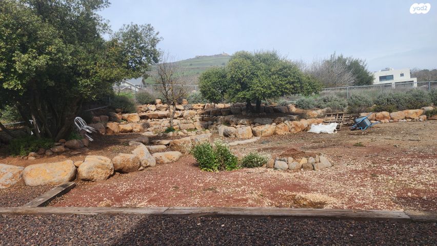 בית פרטי/ קוטג', עין זיוון