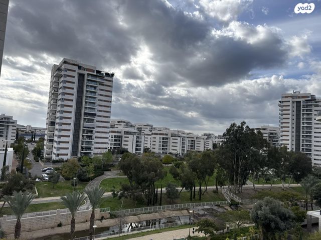 הצדף 18