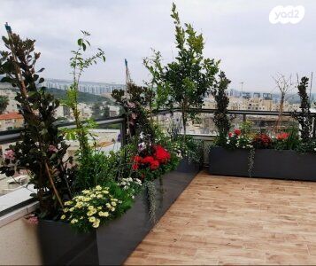 דופלקס, כפר סבא