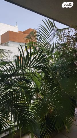 דופלקס, כפר סבא