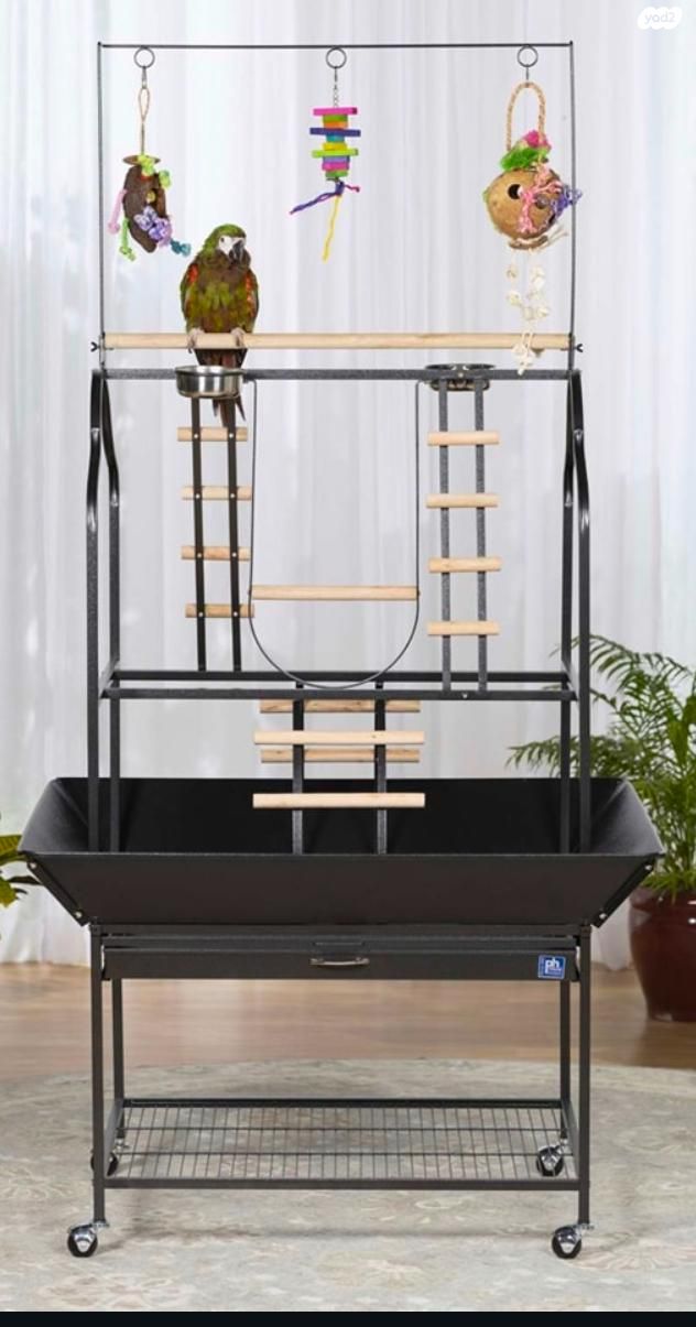 תמונת מודעה - חיות מחמד