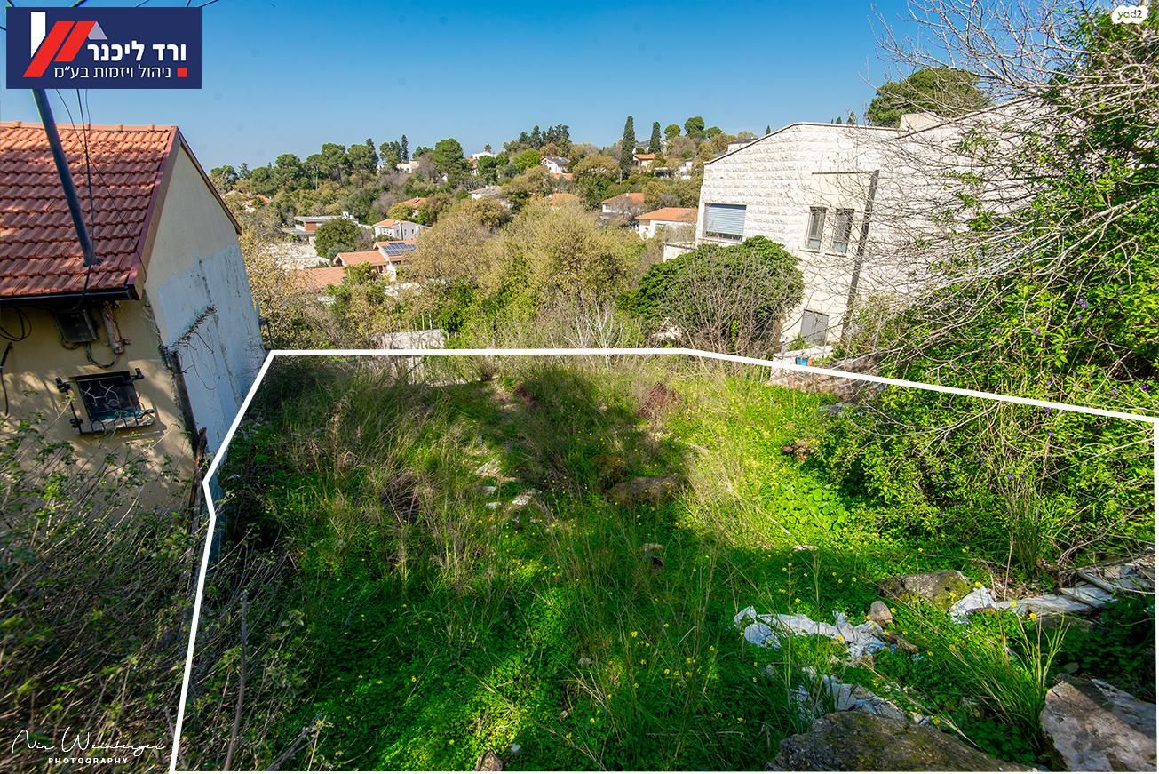 טבעון הוותיקה