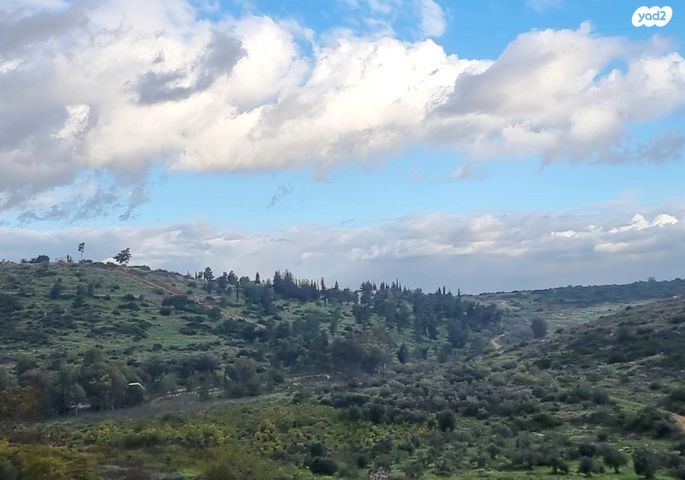 דירת גן, אורנית