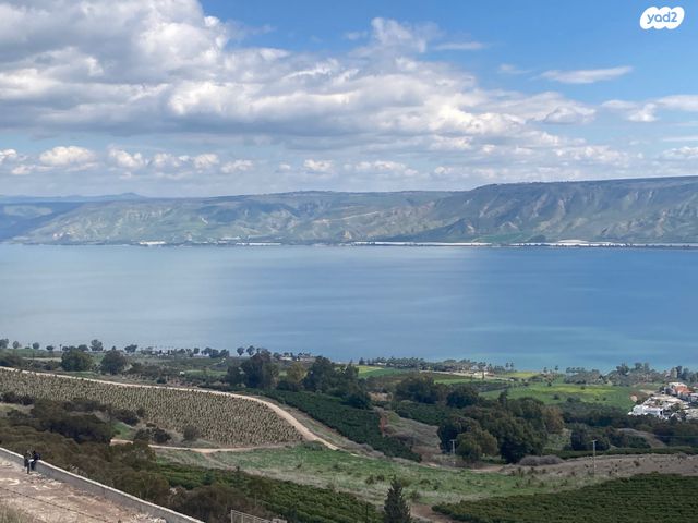 מגרשים, פוריה עילית