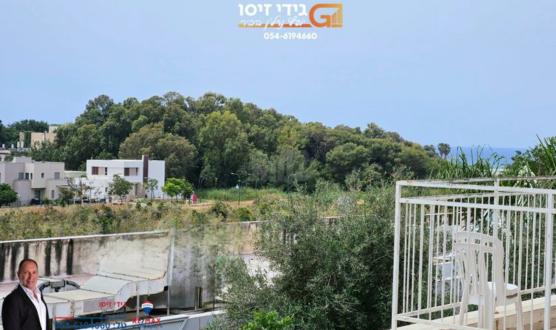 השקד 