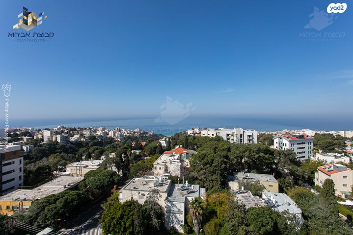 גג/ פנטהאוז, חיפה