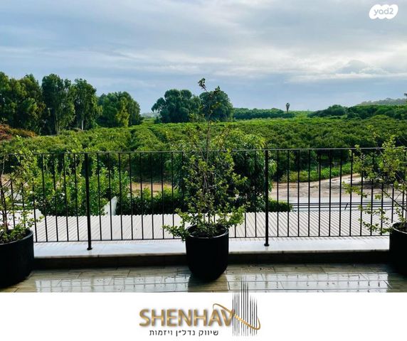 גג/ פנטהאוז