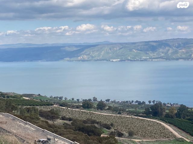 מגרשים, פוריה עילית