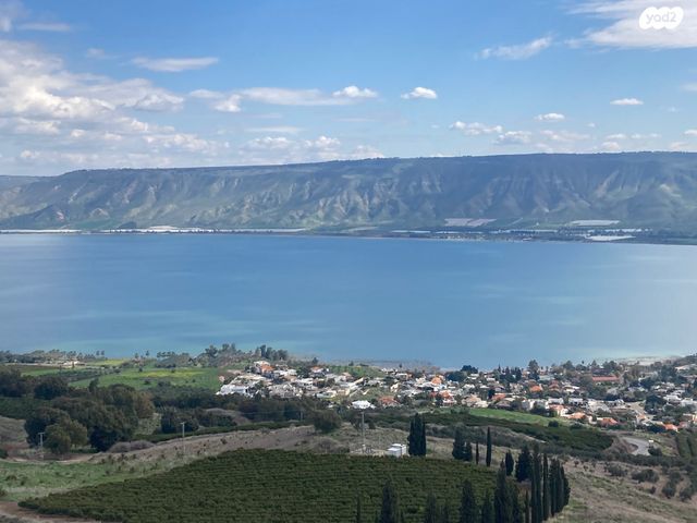 מגרשים, פוריה עילית