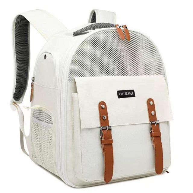 תמונת מודעה - חיות מחמד