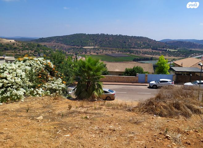 החצב 32