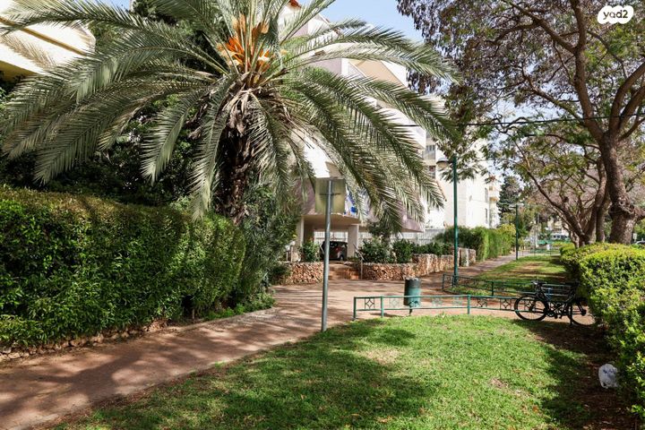 דופלקס, פשוש, כפר סבא