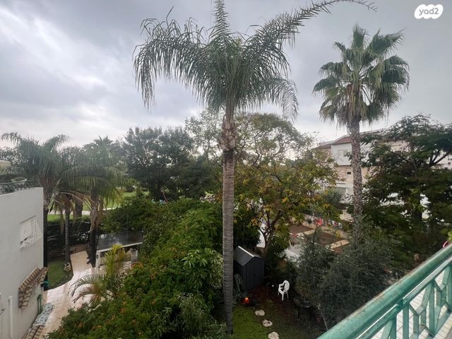 דופלקס, פשוש, כפר סבא